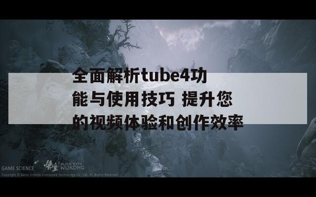全面解析tube4功能与使用技巧 提升您的视频体验和创作效率