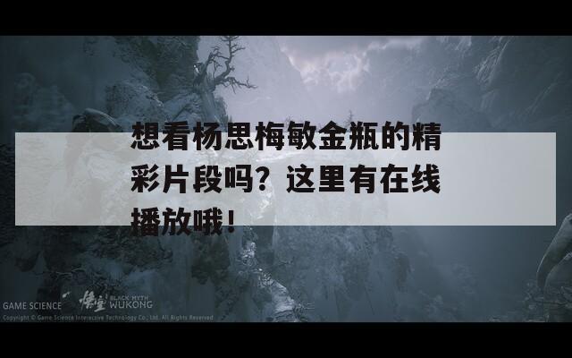 想看杨思梅敏金瓶的精彩片段吗？这里有在线播放哦！