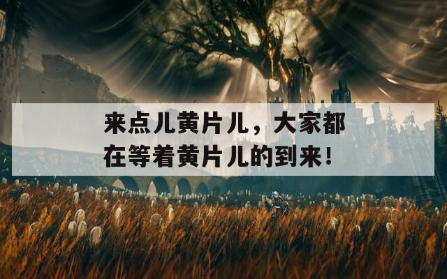 来点儿黄片儿，大家都在等着黄片儿的到来！