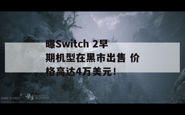曝Switch 2早期机型在黑市出售 价格高达4万美元！