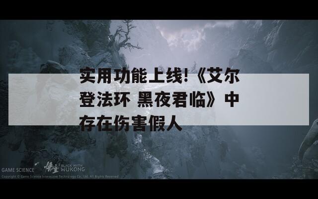 实用功能上线!《艾尔登法环 黑夜君临》中存在伤害假人
