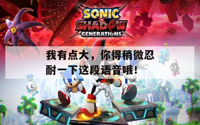 我有点大，你得稍微忍耐一下这段语音哦！