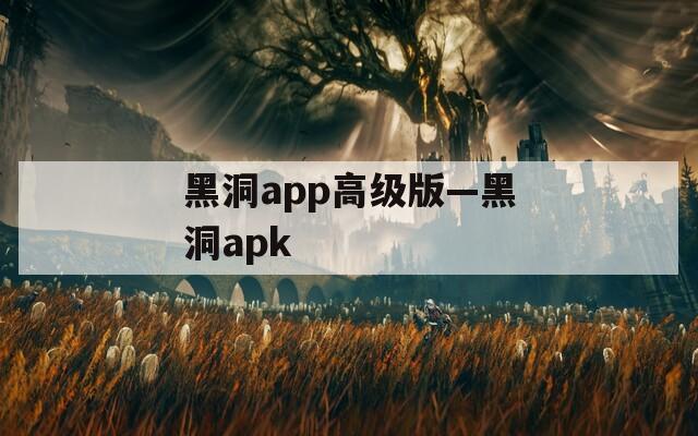 黑洞app高级版—黑洞apk