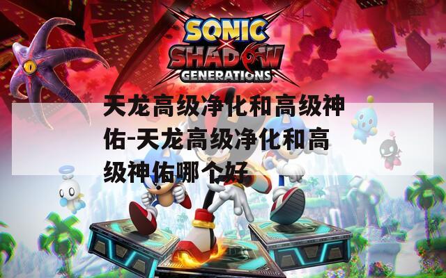 天龙高级净化和高级神佑-天龙高级净化和高级神佑哪个好