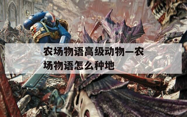农场物语高级动物—农场物语怎么种地